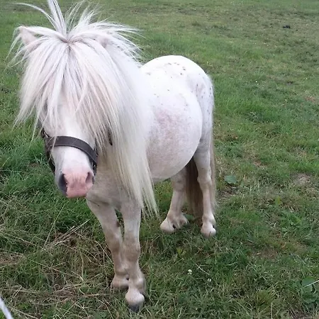 Schleiblick Im Andersenhof