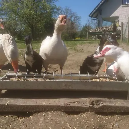 Schleiblick Im Andersenhof Apartment