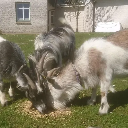 Schleiblick Im Andersenhof * Kappeln
