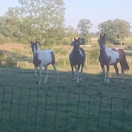 Schleiblick Im Andersenhof Apartment *