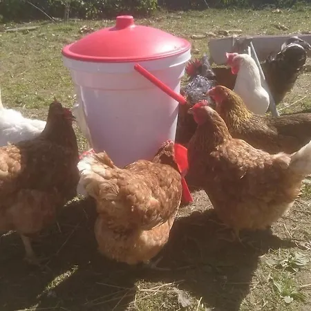 Schleiblick Im Andersenhof Kappeln