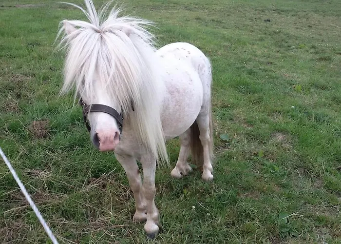 Schleiblick Im Andersenhof